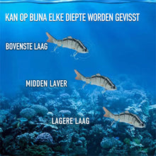 Afbeelding in Gallery-weergave laden, Bionisch Kunstaas Set
