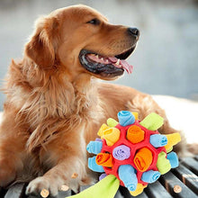 Afbeelding in Gallery-weergave laden, Honden kauw speeltje
