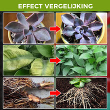 Afbeelding in Gallery-weergave laden, Plantengroeibevorderend supplement
