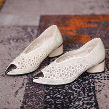 Afbeelding in Gallery-weergave laden, Holle mesh schoenen met spitse neus en stevige hak
