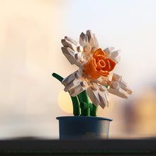 Afbeelding in Gallery-weergave laden, Koffiekopjes planten potblokken
