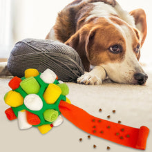 Afbeelding in Gallery-weergave laden, Honden kauw speeltje
