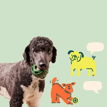 Afbeelding in Gallery-weergave laden, Opvulbaar Slow Food-speelgoed voor honden
