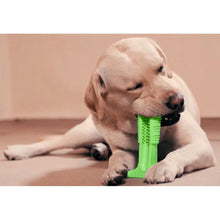 Afbeelding in Gallery-weergave laden, Tandenborstel voor honden

