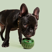 Afbeelding in Gallery-weergave laden, Opvulbaar Slow Food-speelgoed voor honden
