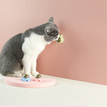 Afbeelding in Gallery-weergave laden, Katten knip muur Bal eetbaar katten speelgoed
