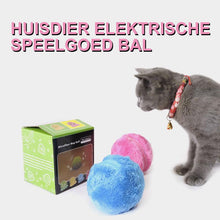 Afbeelding in Gallery-weergave laden, Elektrisch balspeelgoed voor huisdieren met pluche hoes
