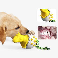 Afbeelding in Gallery-weergave laden, Dinosaur Eggs Kauwspeeltjes voor honden
