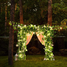 Afbeelding in Gallery-weergave laden, Led-Verlichting op Zonne-Rotan
