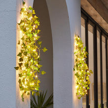 Afbeelding in Gallery-weergave laden, Led-Verlichting op Zonne-Rotan
