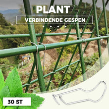 Afbeelding in Gallery-weergave laden, Plant verbindende gespen
