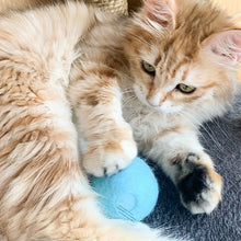 Afbeelding in Gallery-weergave laden, Gravity Barking Cat Toy Ball
