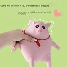 Afbeelding in Gallery-weergave laden, 🐷Creative Decompression Pink Piggy Toy
