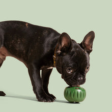 Afbeelding in Gallery-weergave laden, Opvulbaar Slow Food-speelgoed voor honden
