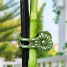 Afbeelding in Gallery-weergave laden, Clips voor planten
