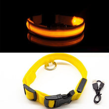 Afbeelding in Gallery-weergave laden, LED-halsband voor huisdieren
