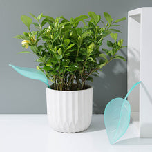 Afbeelding in Gallery-weergave laden, Funny Watering Leaves (6pcs)
