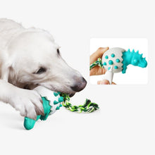 Afbeelding in Gallery-weergave laden, Dinosaur Eggs Kauwspeeltjes voor honden

