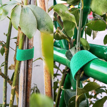 Afbeelding in Gallery-weergave laden, Self-Attaching Nylon Cable Ties

