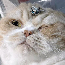 Afbeelding in Gallery-weergave laden, Mooie kattenring
