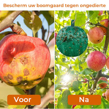 Afbeelding in Gallery-weergave laden, Opknoopbare Milieuvriendelijke Fruitvlieg Kleefvallen
