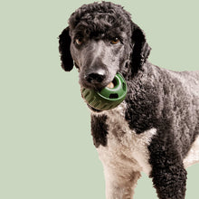 Afbeelding in Gallery-weergave laden, Opvulbaar Slow Food-speelgoed voor honden

