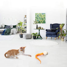 Afbeelding in Gallery-weergave laden, Wiggly Kattenspeelgoed met Bellen

