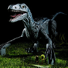 Afbeelding in Gallery-weergave laden, Dinosaurus met afstandsbediening
