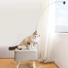 Afbeelding in Gallery-weergave laden, Kitten Spelen Teaser Wand Speelgoed
