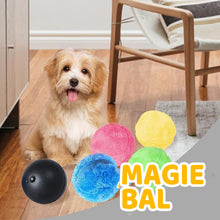 Afbeelding in Gallery-weergave laden, Magische bal voor honden
