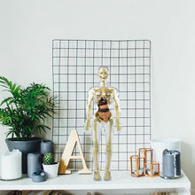 Afbeelding in Gallery-weergave laden, 3D-anatomie skeletmodel speelgoed
