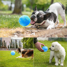Afbeelding in Gallery-weergave laden, Magische bal voor honden
