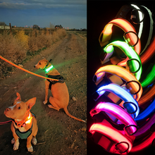Afbeelding in Gallery-weergave laden, LED-halsband voor huisdieren
