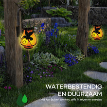 Afbeelding in Gallery-weergave laden, Delicaat zonne-tuinlicht
