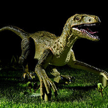 Afbeelding in Gallery-weergave laden, Dinosaurus met afstandsbediening
