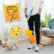 Afbeelding in Gallery-weergave laden, Handvrij Honden Riemen
