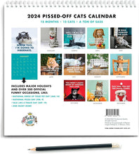 Afbeelding in Gallery-weergave laden, Kalender voor pissige katten 2024

