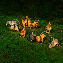 Afbeelding in Gallery-weergave laden, LED Emaille Dinosaurus Kinderkamer Decoratieve Lichtsnaar
