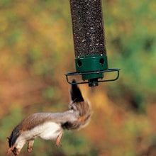 Afbeelding in Gallery-weergave laden, Eekhoorn bestendige vogelvoeder
