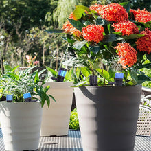 Afbeelding in Gallery-weergave laden, Besproeiingsset voor de tuin

