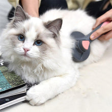 Afbeelding in Gallery-weergave laden, Dierenverzorgingskam voor honden en katten
