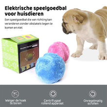 Afbeelding in Gallery-weergave laden, Magische bal voor honden
