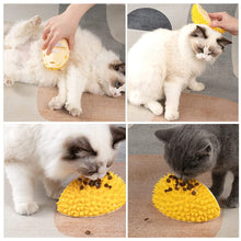 Afbeelding in Gallery-weergave laden, Durian Pet krab- en ontharingsspeeltje
