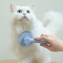 Afbeelding in Gallery-weergave laden, Cat Grooming Brush
