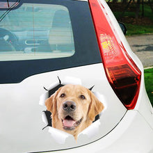 Afbeelding in Gallery-weergave laden, 3D-simulatie Leuke creatieve autostickers
