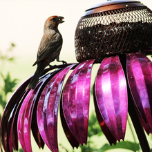 Afbeelding in Gallery-weergave laden, Zonnehoed Vogelvoeder
