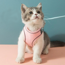Afbeelding in Gallery-weergave laden, Set met harnas en riem voor kattenvest

