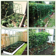 Afbeelding in Gallery-weergave laden, Plant verbindende gespen
