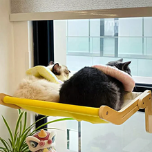 Afbeelding in Gallery-weergave laden, Kattenmand voor het raam
