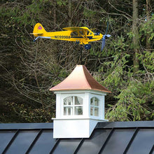 Afbeelding in Gallery-weergave laden, Vliegtuig Weathervane-cadeaus voor vliegliefhebbers
